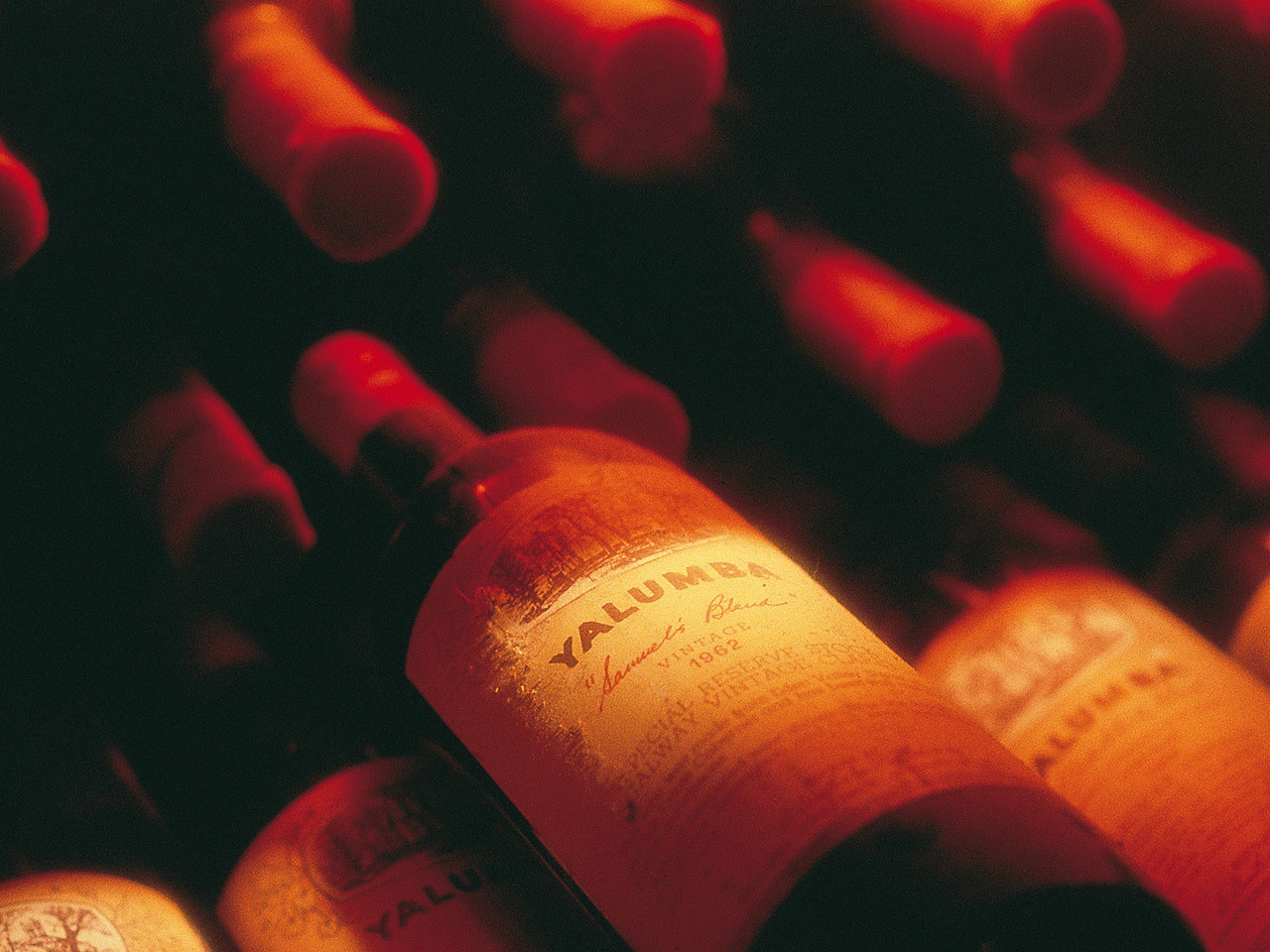 A close up image of a 1962 vintage bottle of "Samuel's Blend" wine, in a dimly lit cellar