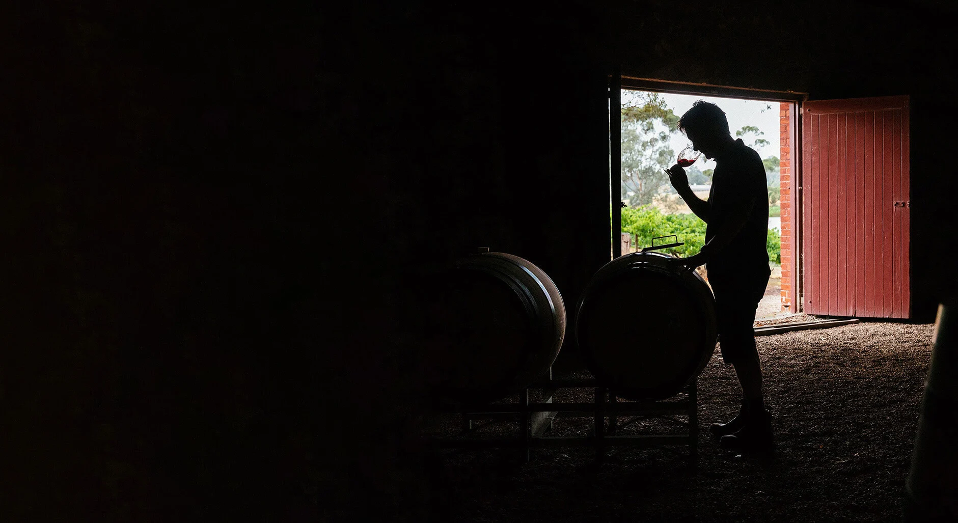 A wine maker taste testing aged red wine from a barrel
