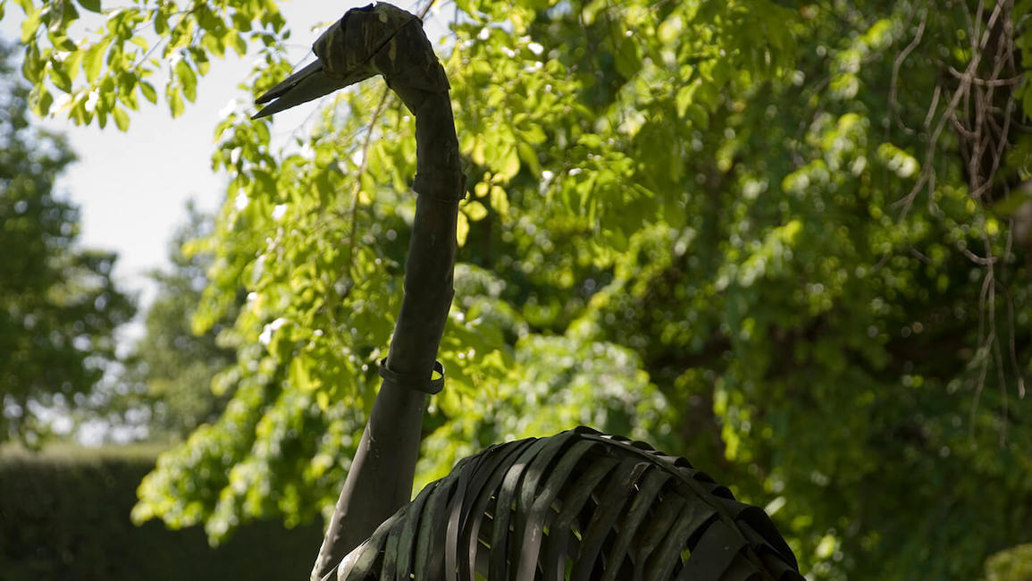 A close up view of a metal duck, somewhere in the garden at Yalumba