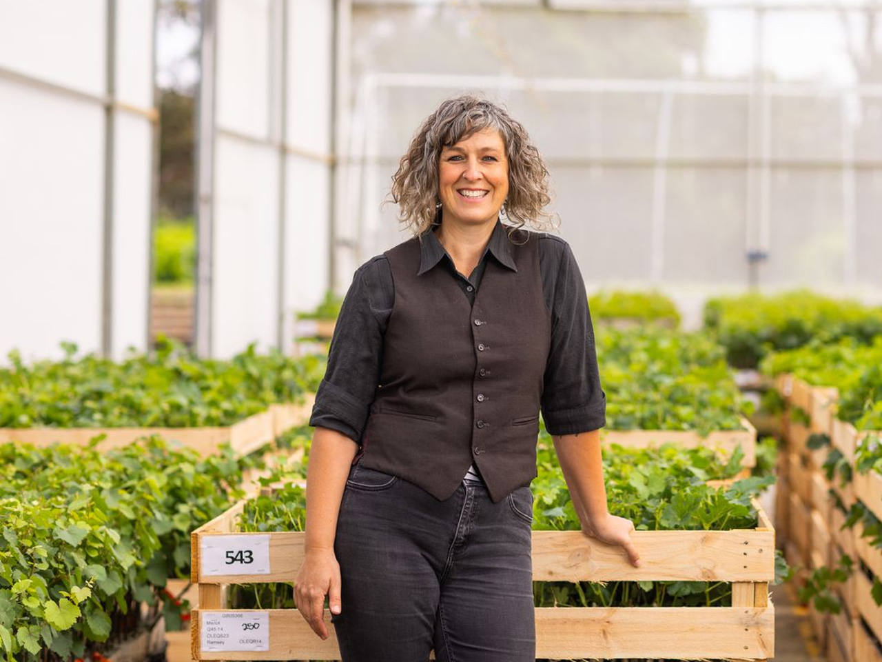Bethany Collins leads the Yalumba Nursery - a vital part of our winemaking story and Australia’s most respected vine nurseries.