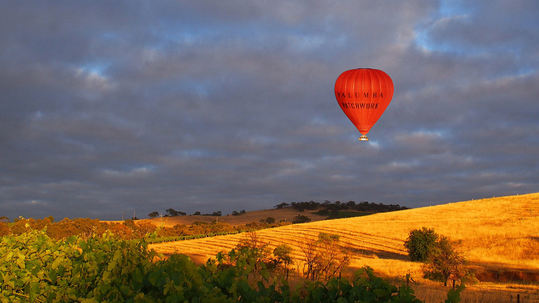 Barossa Valley Ballooning