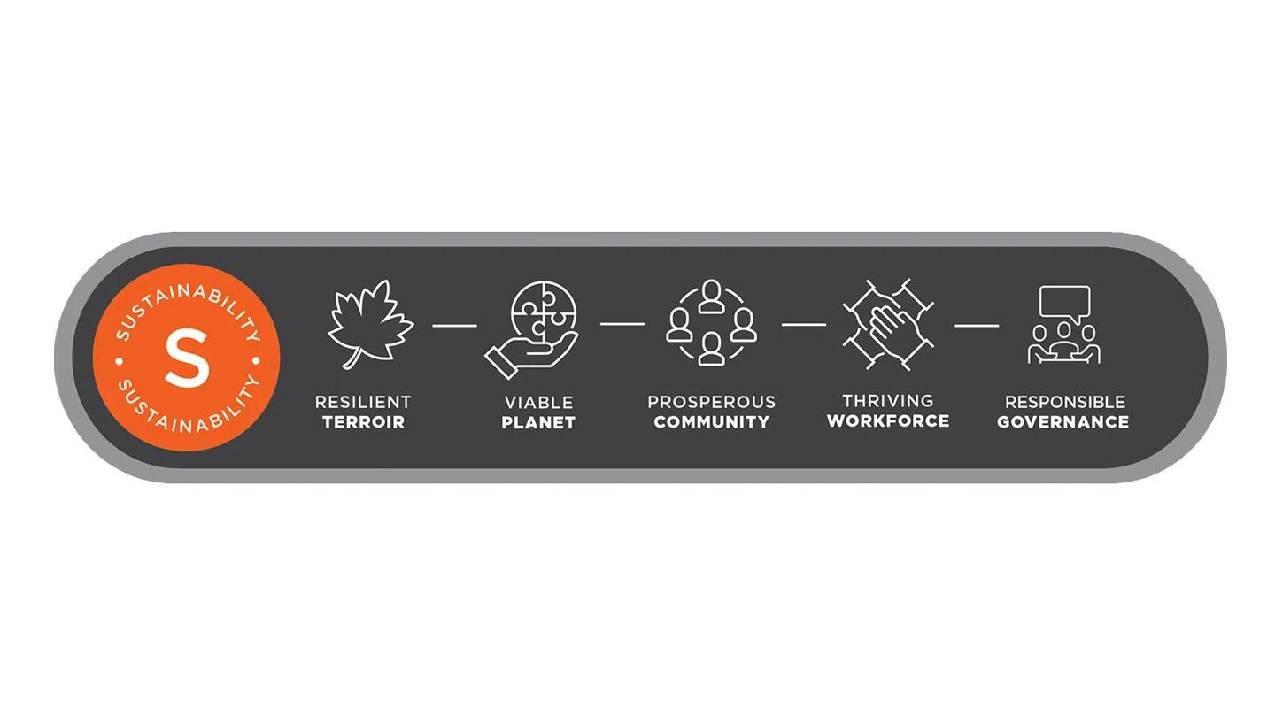 Yalumba Sustainability Charter principles: resilient terroir, viable planet, prosperous community, thriving workforce, responsible governance