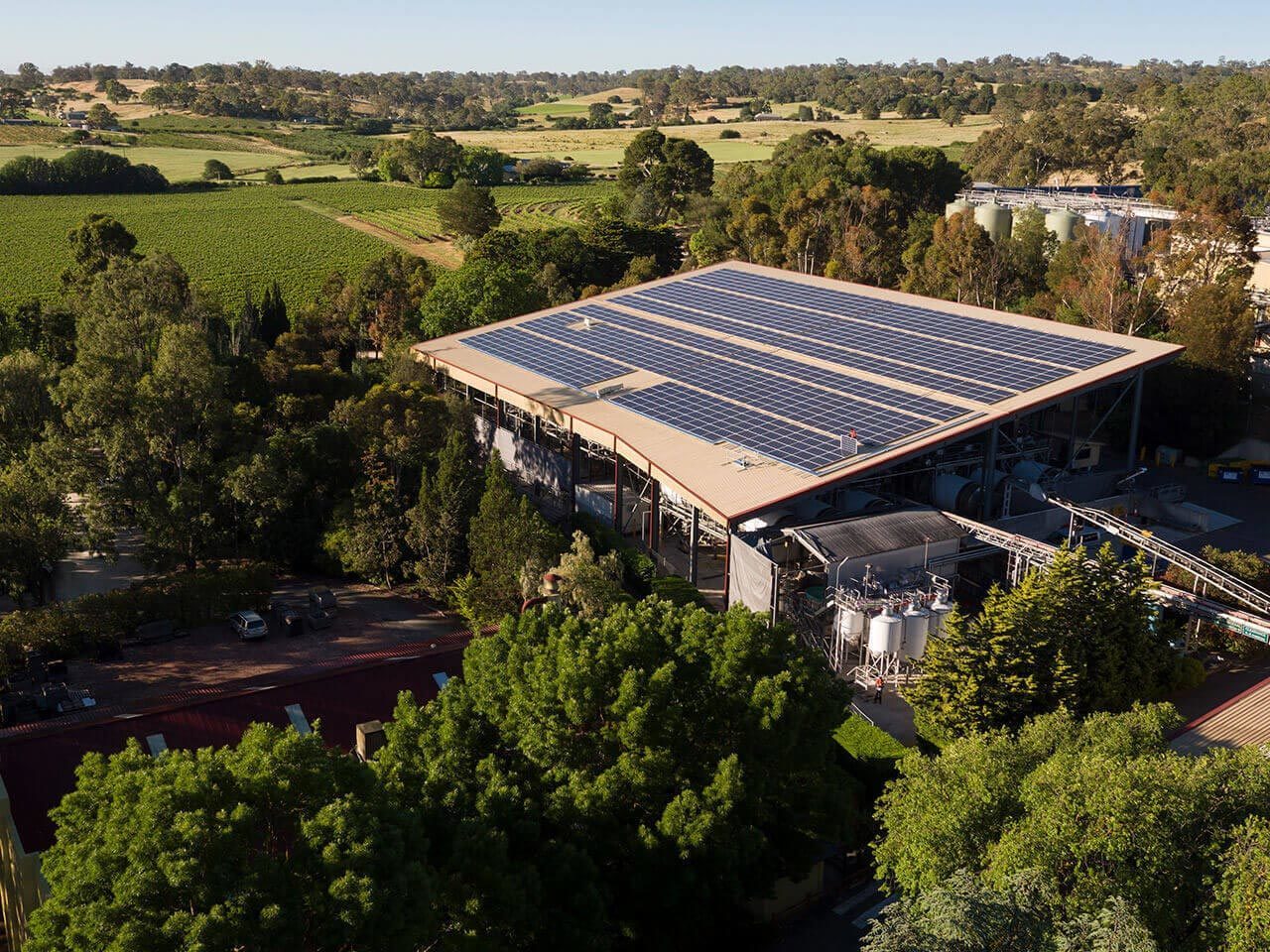 Aerial view of Yalumba winery with solar panel installation and vineyards in background