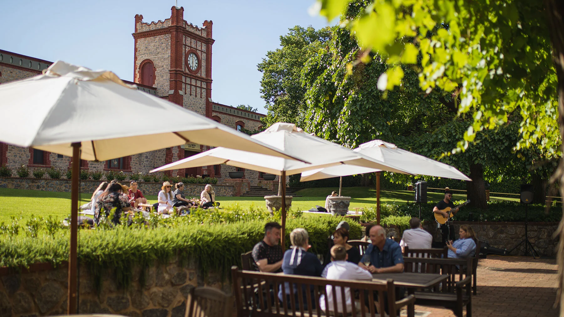 Things to do in the Barossa