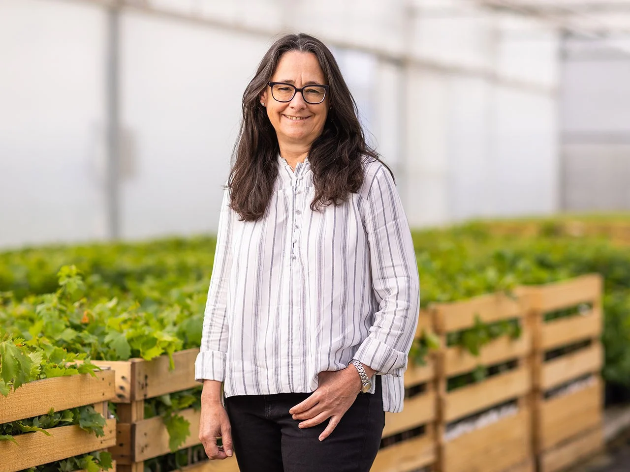 Louisa Rose, Winemaker and Head of Sustainability at Yalumba, smiling in striped shirt next to wine grape vines