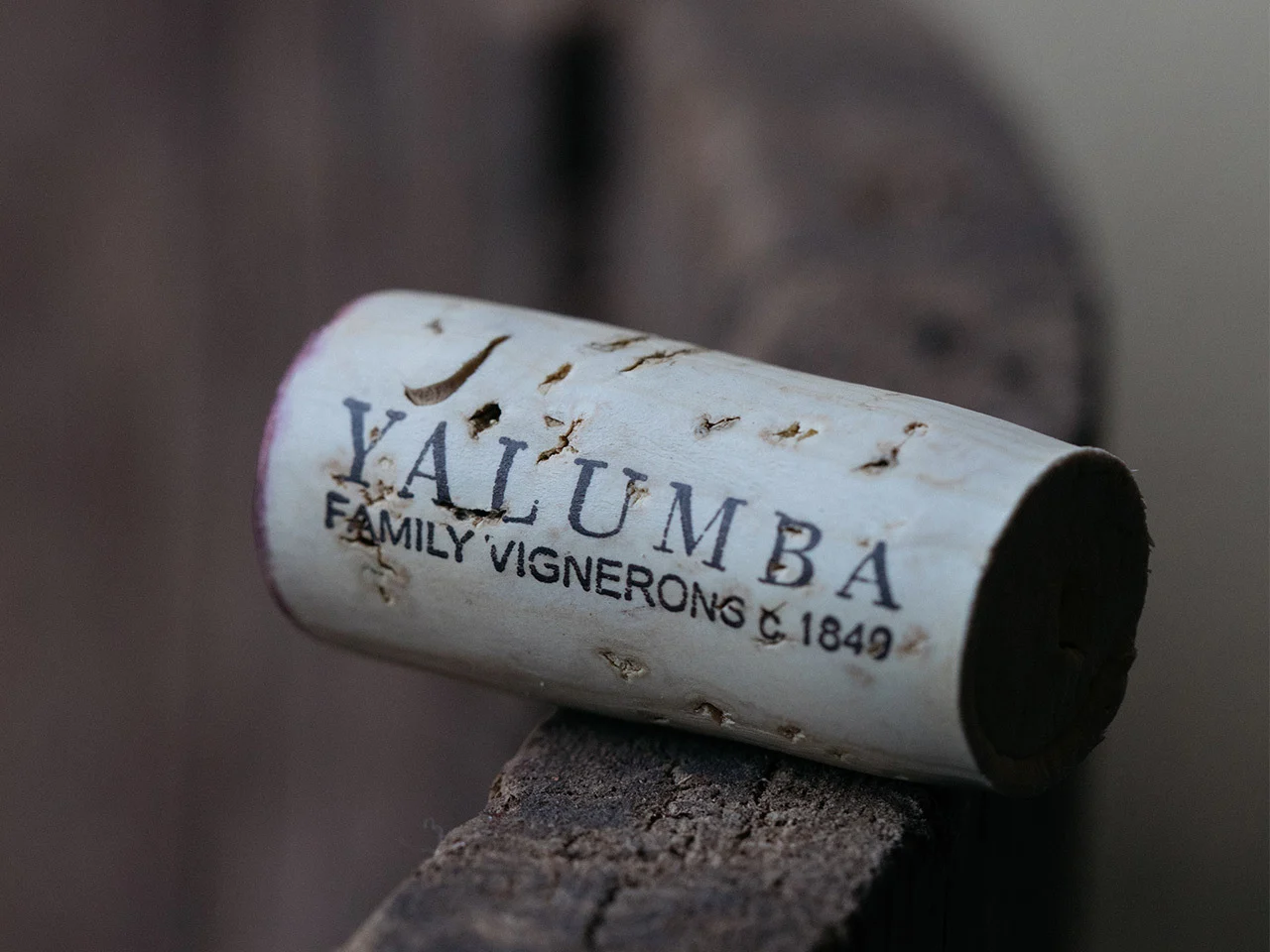 A close up image of a Yalumba cork used for a red win bottle