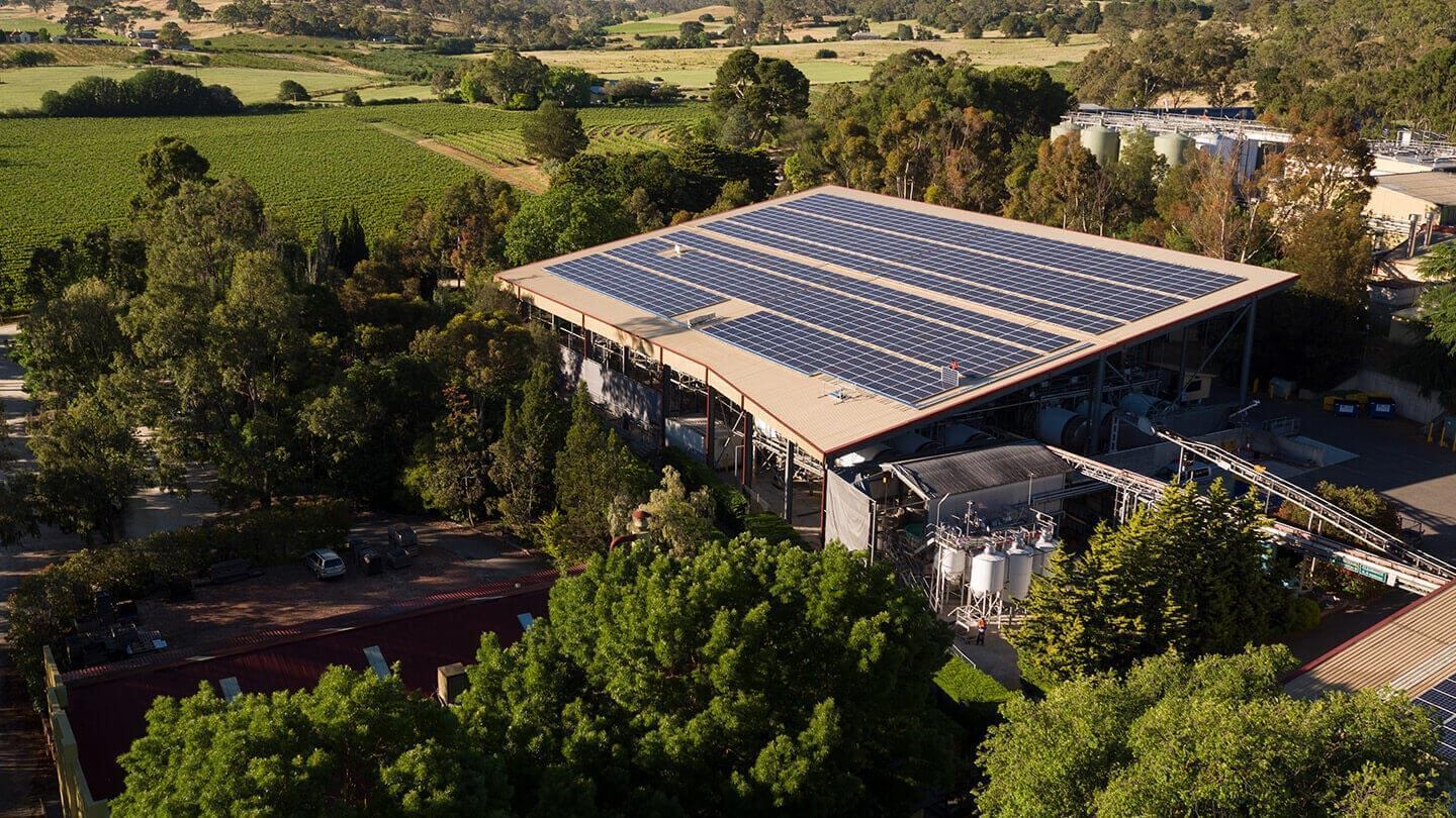 An aerial photo of one of the wine production sheds at Yalumba, with solar panels covering the roof.