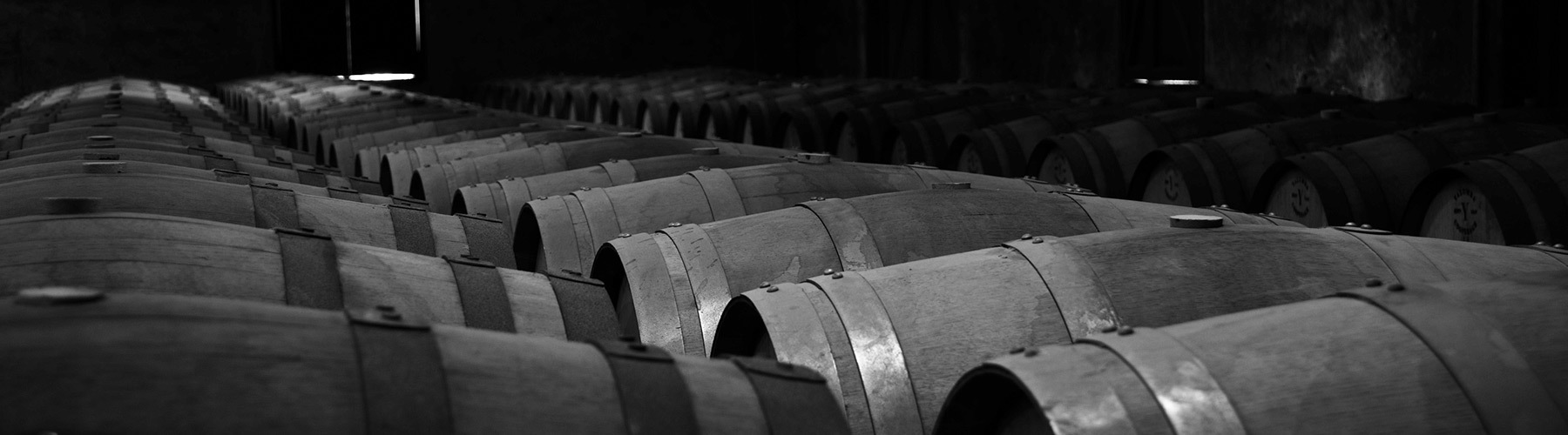 A view of the tops of a long row of wine barrels in a warehouse