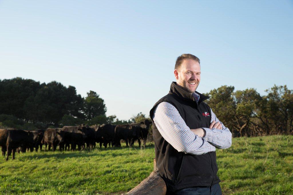 Wagyu and Wine Pairing