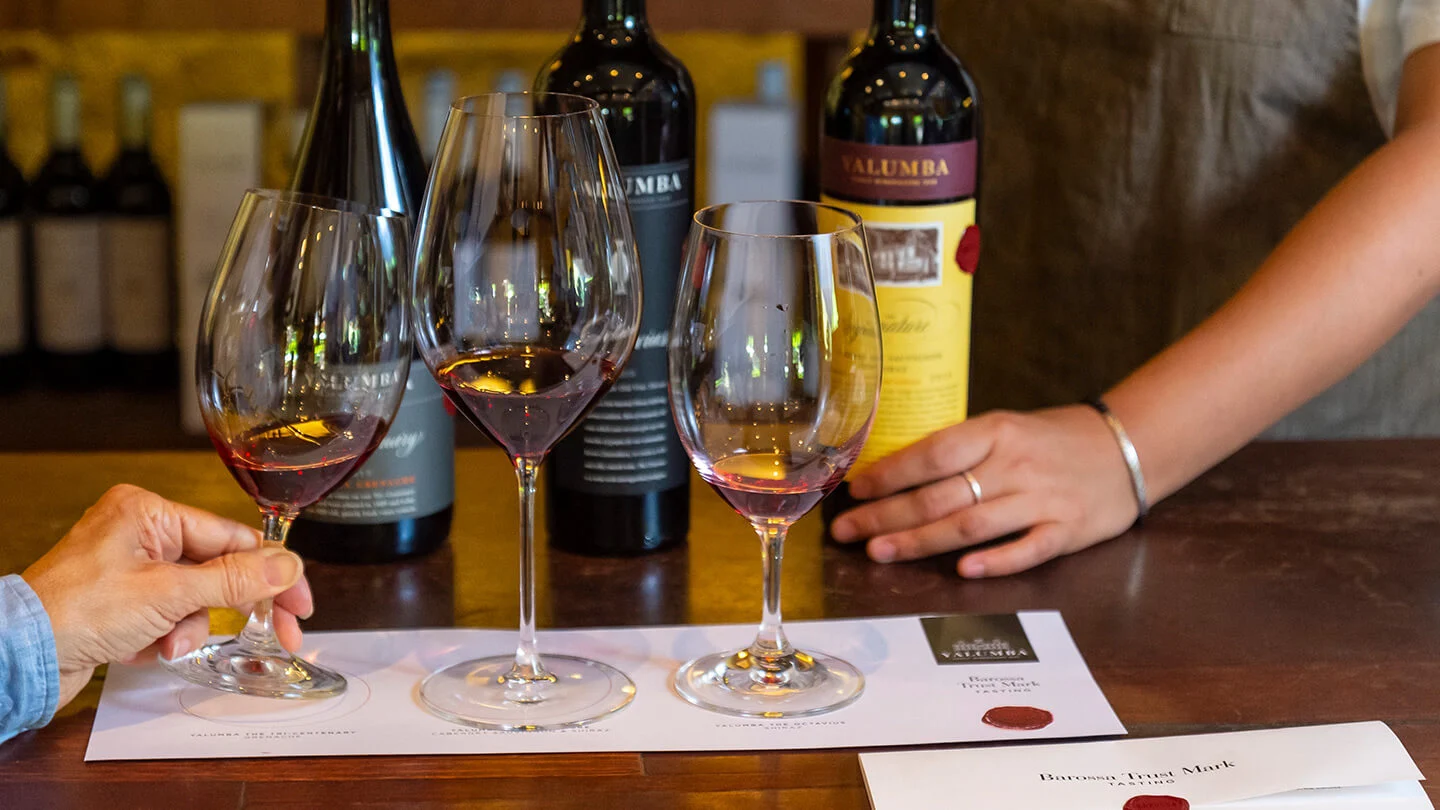 A close up view of some glasses of wine with their bottles sitting behind them, part of the wine tasting experience