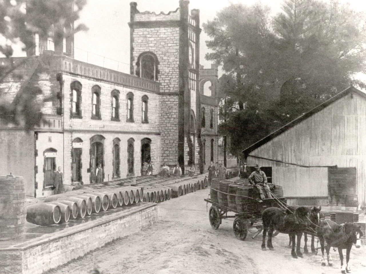 Historical black and white image of Yalumba winery with horse-drawn cart
