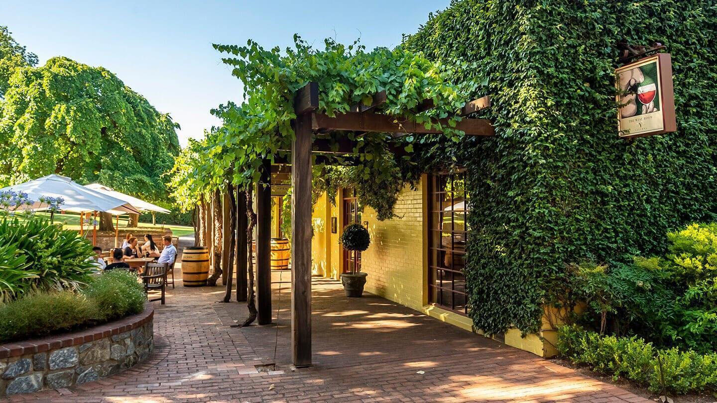 A picture of Yalumba's cellar door, laced with vines, on a sunny day.