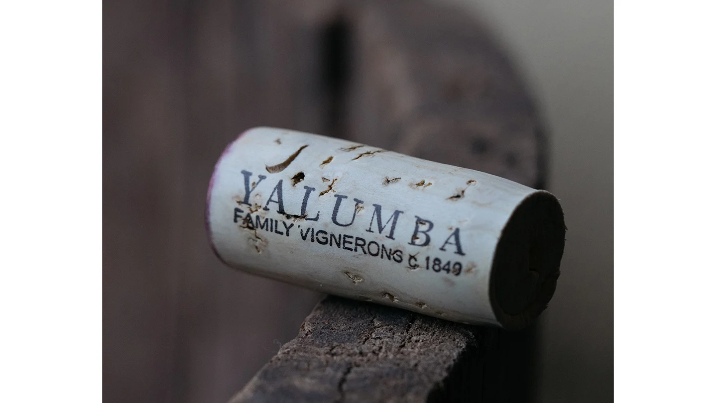 A close up image of a Yalumba cork used for a red win bottle