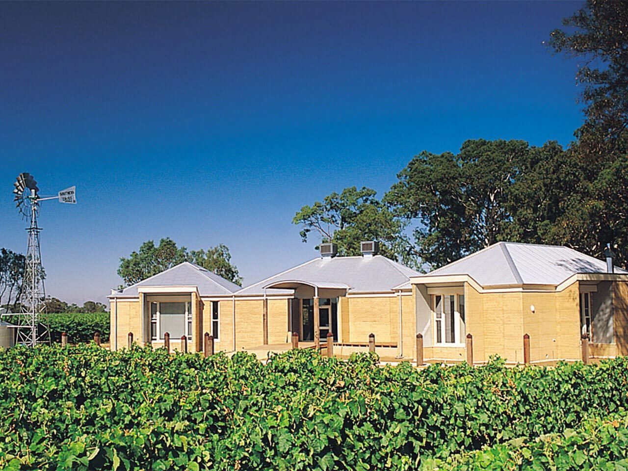 The Menzies Retreat building with windmill and vineyard in the foreground under clear blue sky