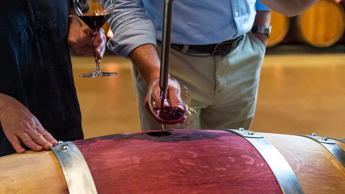Wine being drawn from a red wine barrel during The Signature Tour at Yalumba